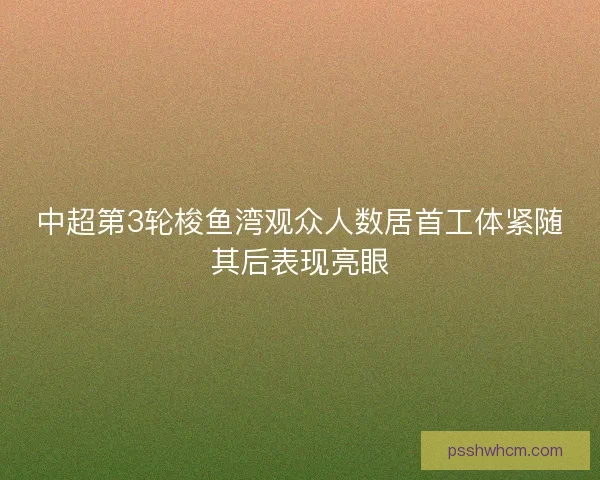 中超第3轮梭鱼湾观众人数居首工体紧随其后表现亮眼